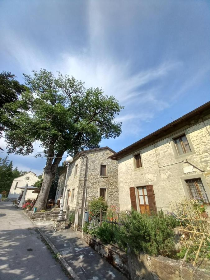 Апартаменты Casina La Quercia Санта-София Экстерьер фото