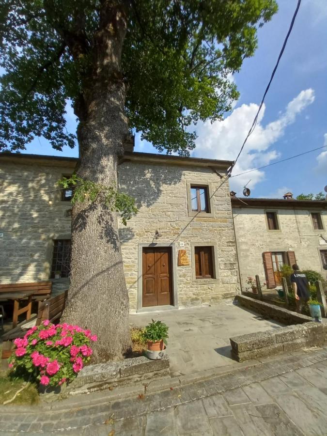 Апартаменты Casina La Quercia Санта-София Экстерьер фото