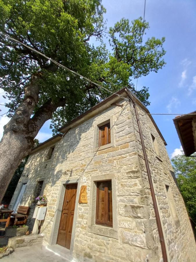 Апартаменты Casina La Quercia Санта-София Экстерьер фото